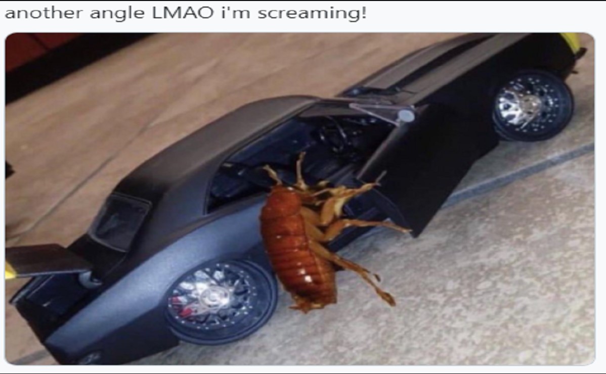 roach getting in a car