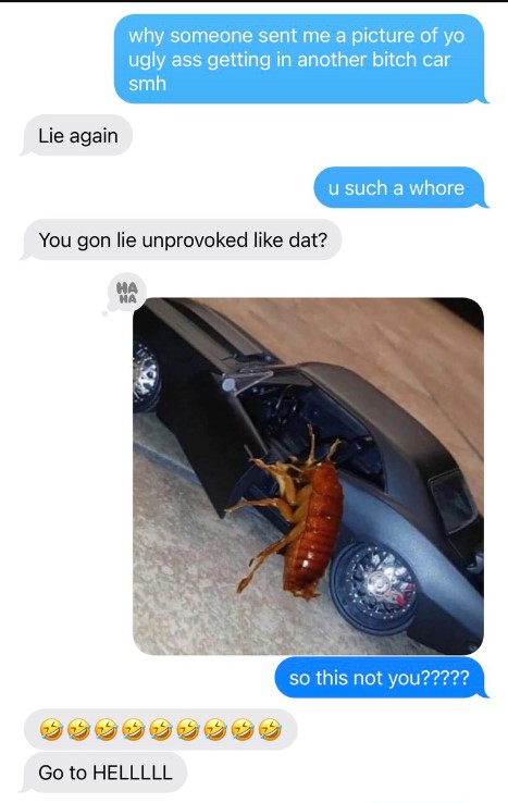 roach getting in a car meme