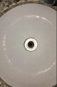 it lives in the sink